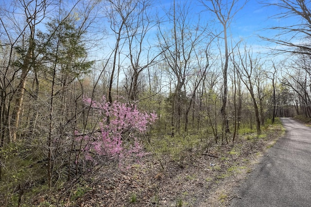 0 Melton Springs Rd, Big Rock, TN 37023 - photo 2
