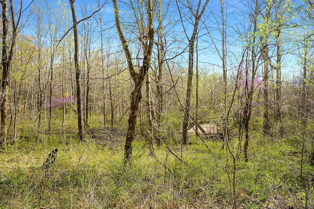 0 Melton Springs Rd, Big Rock, TN 37023 - photo 6