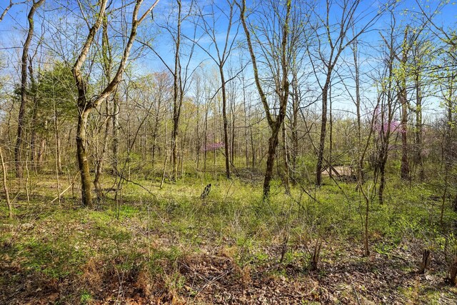 0 Melton Springs Rd, Big Rock, TN 37023 - photo 1