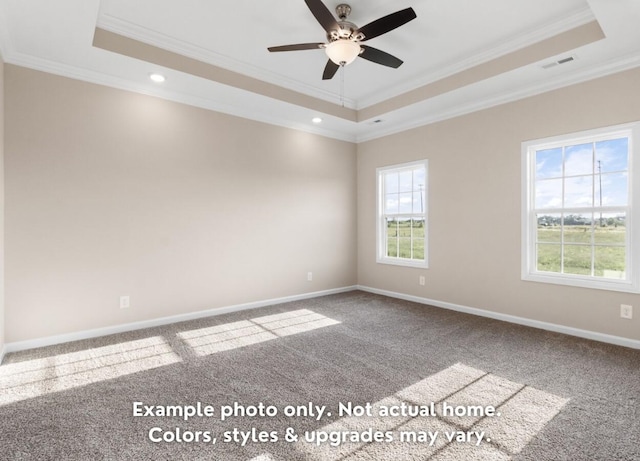 carpeted empty room with ceiling fan, ornamental molding, and a tray ceiling