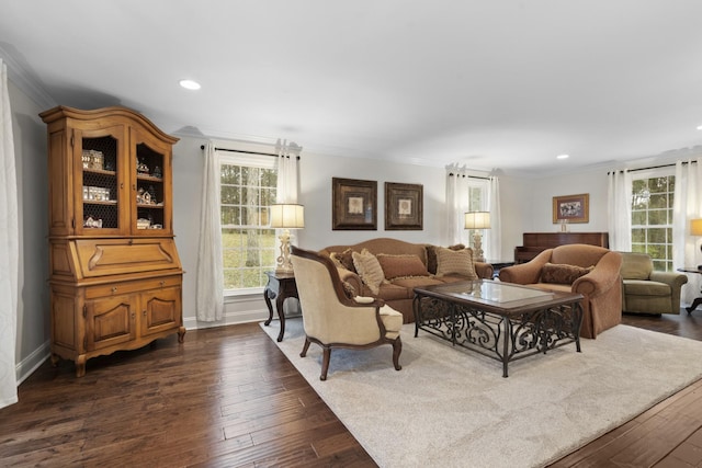 living room with dark hardwood / wood-style flooring, plenty of natural light, and crown molding