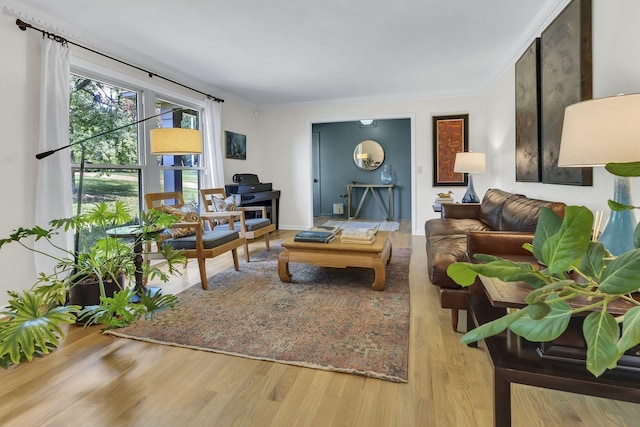 living room featuring crown molding and wood-type flooring