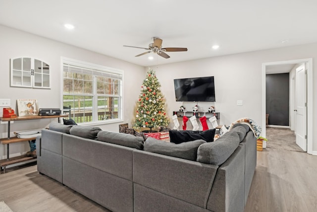 living room featuring ceiling fan and light wood-type flooring