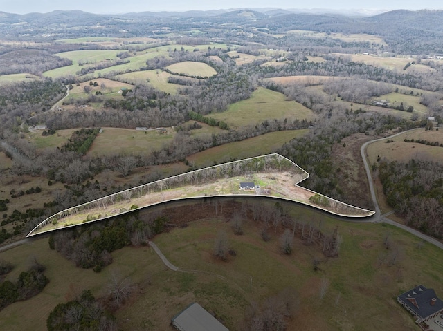 bird's eye view featuring a mountain view