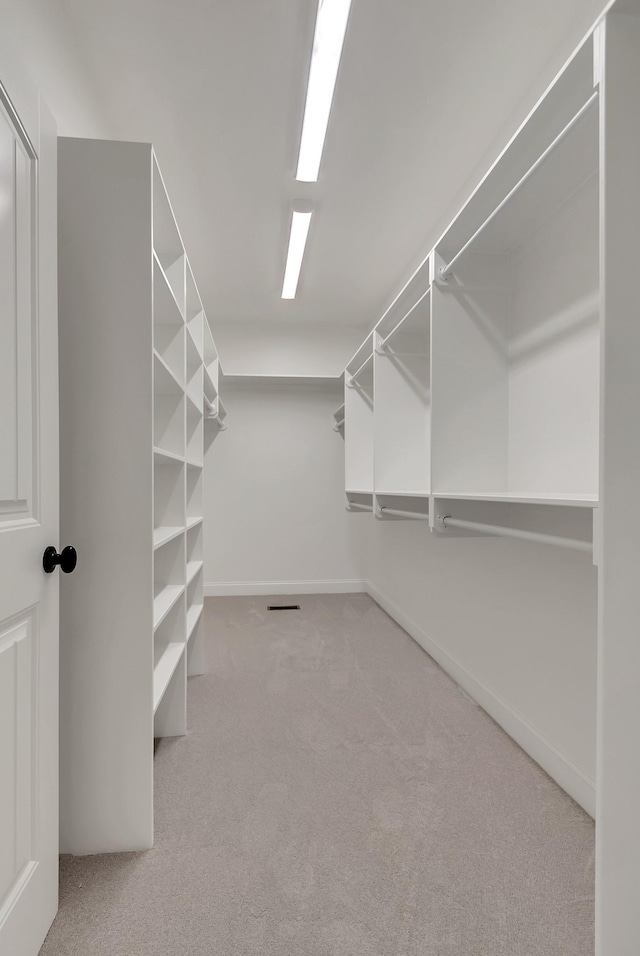 walk in closet with carpet flooring