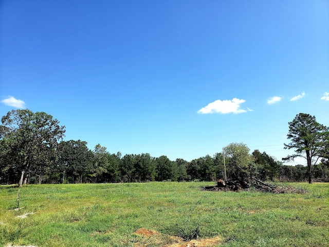 view of local wilderness with a rural view