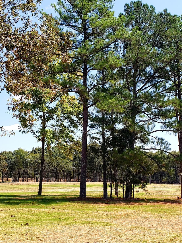 view of landscape