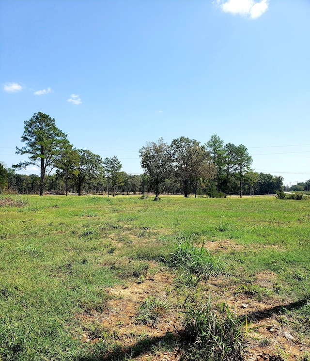 view of yard with a rural view