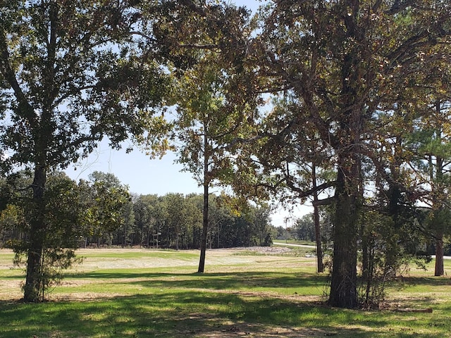 view of property's community with a yard