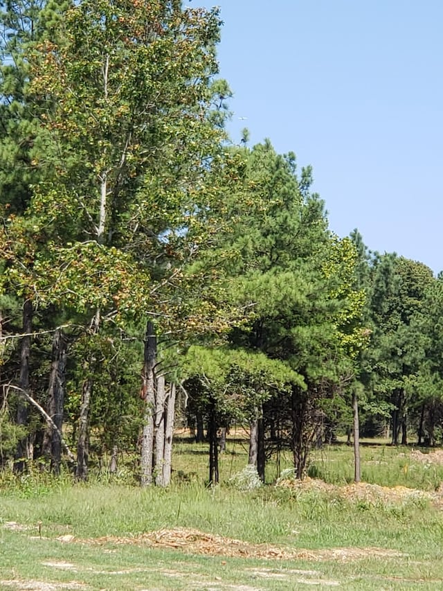 view of landscape