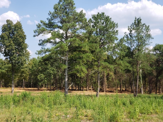 view of local wilderness