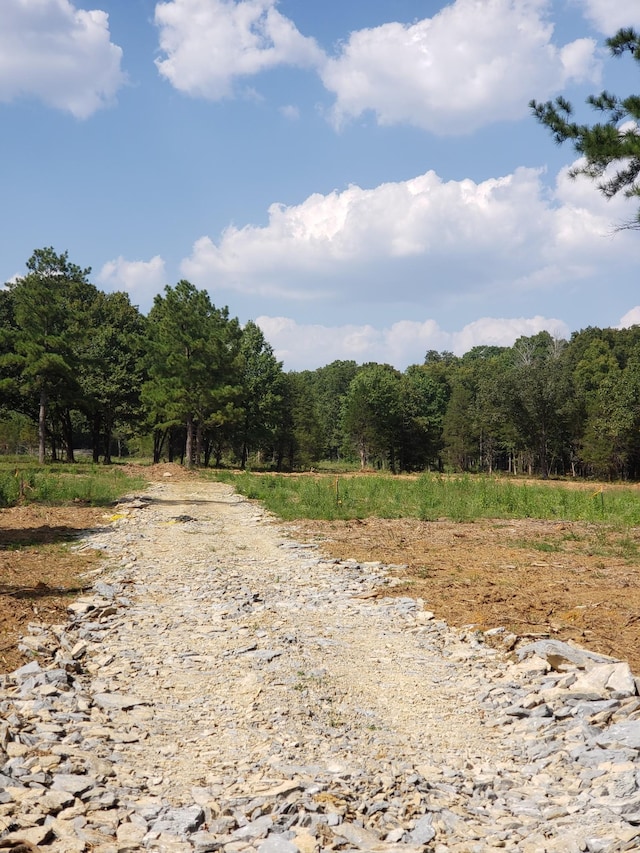 view of road with a rural view