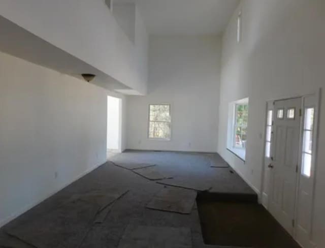 foyer entrance featuring carpet and a high ceiling