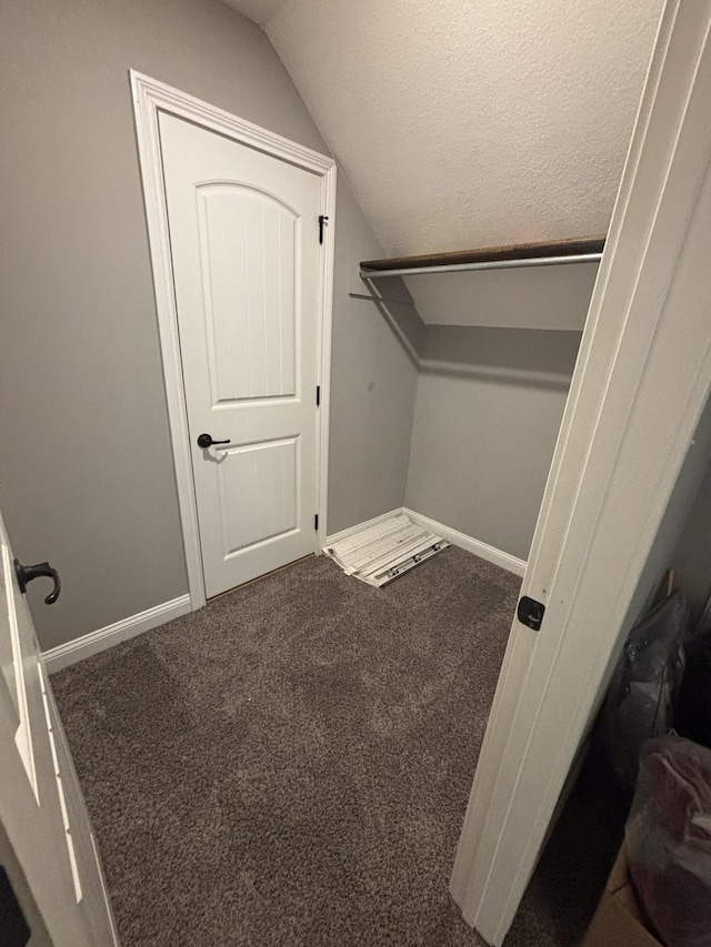 walk in closet with carpet floors and lofted ceiling