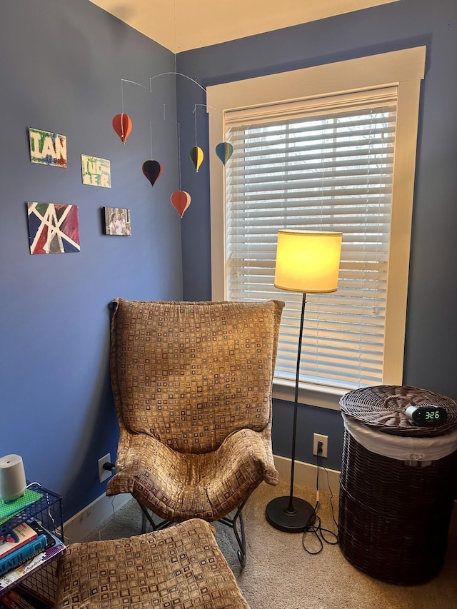 living area with carpet floors