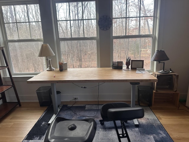 home office featuring light hardwood / wood-style floors