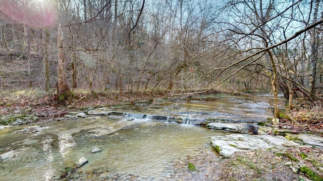 view of water feature