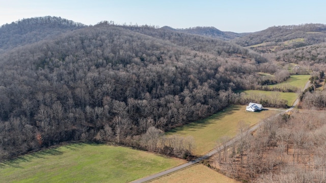 aerial view with a mountain view