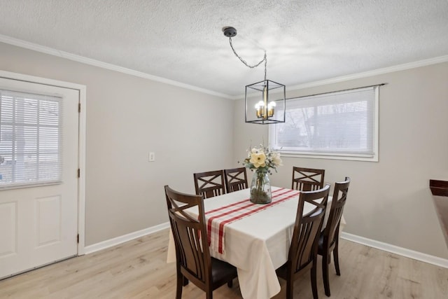 dining area featuring a healthy amount of sunlight, light wood-type flooring, and ornamental molding