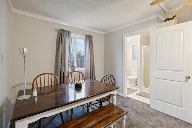 dining room with crown molding, carpet, and a textured ceiling