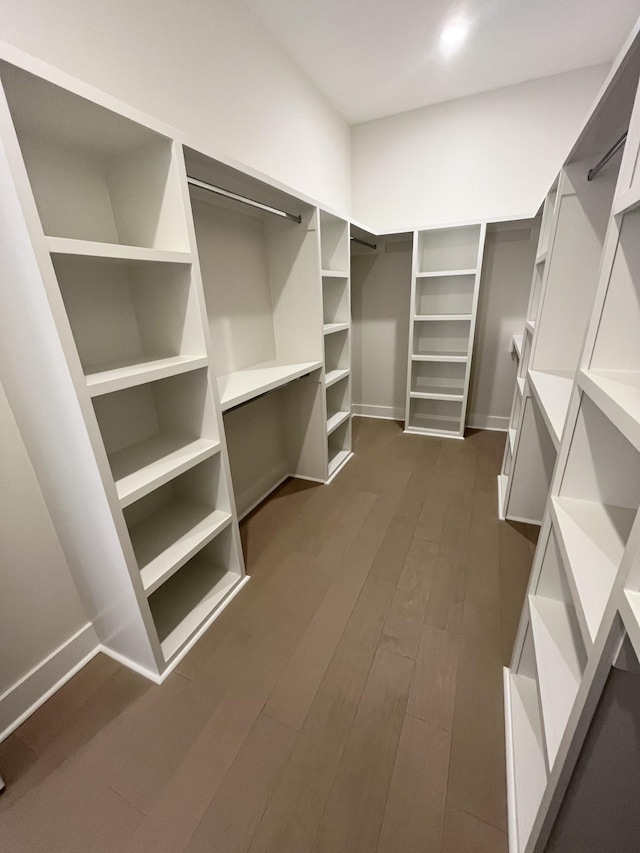 spacious closet featuring dark wood-style flooring