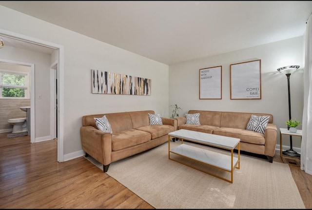 living room featuring wood-type flooring