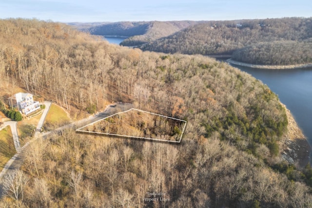 Listing photo 3 for 0 Nadia Ln, Smithville TN 37166