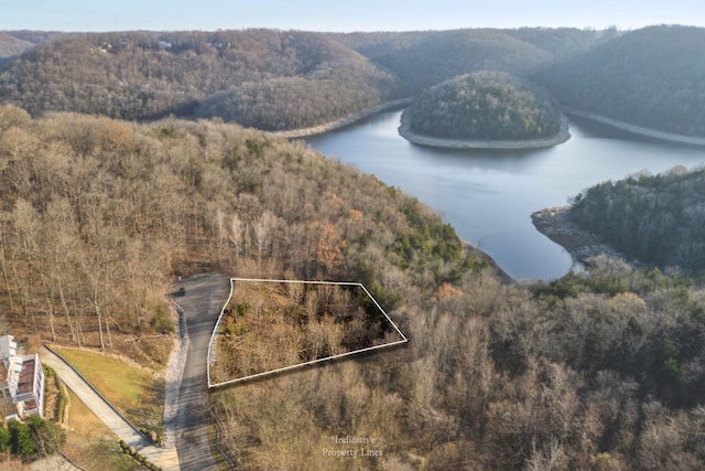 0 Nadia Ln, Smithville TN, 37166 land for sale