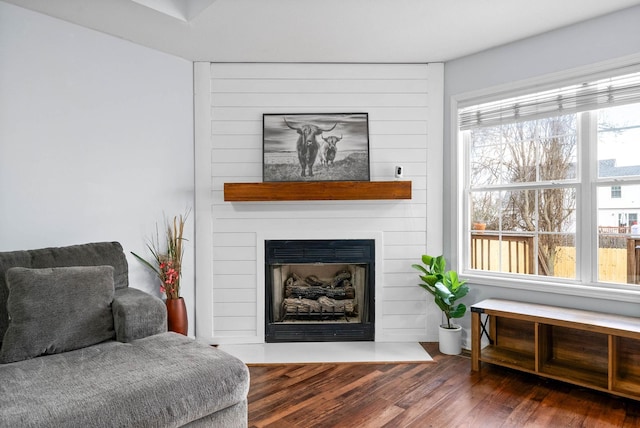 living area with a large fireplace and wood-type flooring