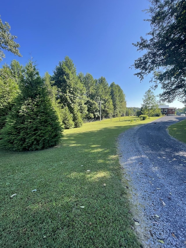 view of street featuring gravel driveway