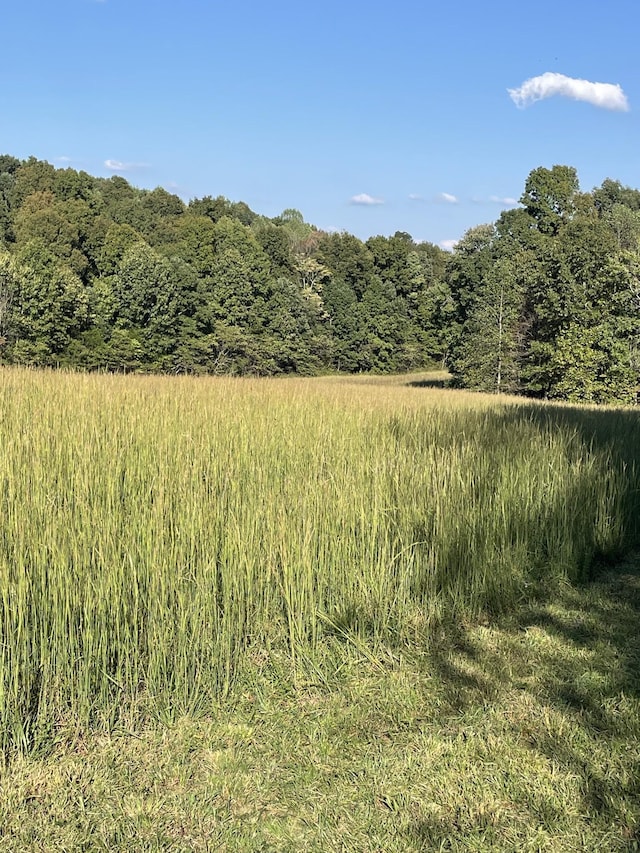 view of nature featuring a forest view