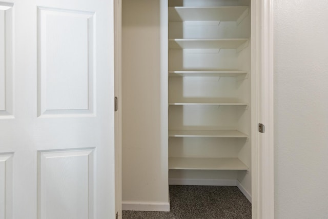 view of closet