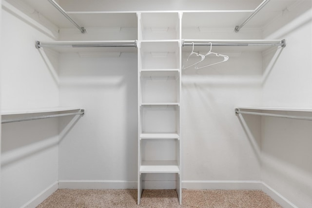 spacious closet with carpet