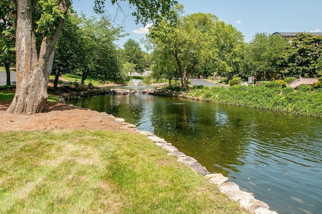 property view of water