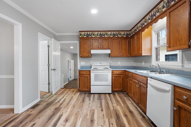 kitchen with light hardwood / wood-style floors, crown molding, white appliances, and sink