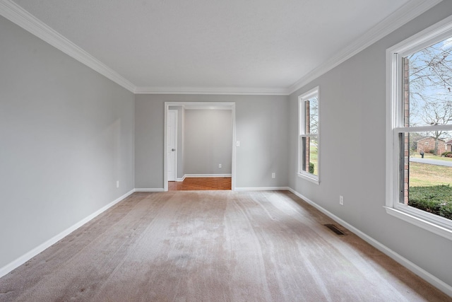 spare room featuring a healthy amount of sunlight, ornamental molding, and light carpet