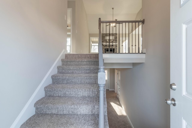 staircase featuring carpet floors