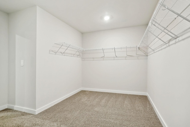 spacious closet with carpet flooring