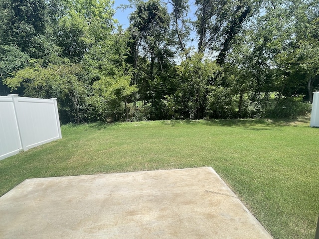 view of yard with a patio area