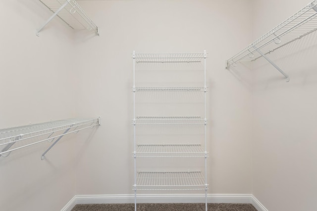 walk in closet featuring carpet floors