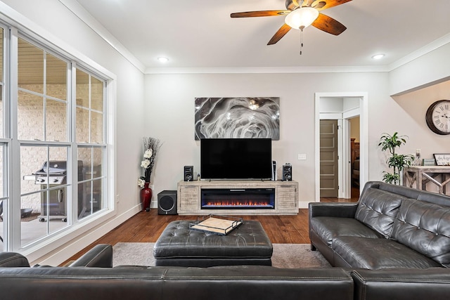 living room with crown molding, ceiling fan, and dark wood-type flooring