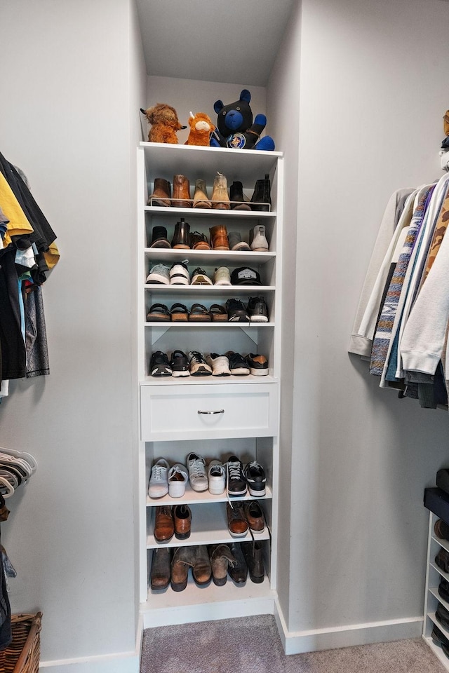 spacious closet featuring carpet floors