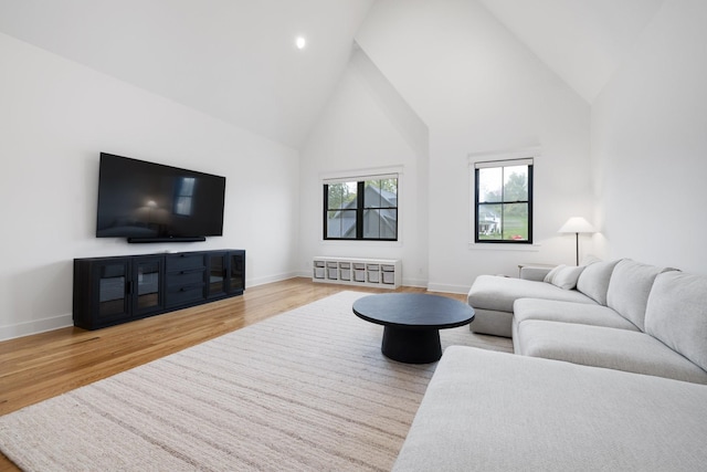 living room with wood-type flooring and high vaulted ceiling