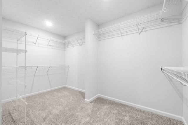 spacious closet with carpet floors