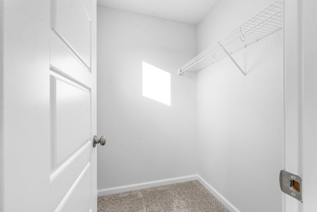 walk in closet with carpet floors