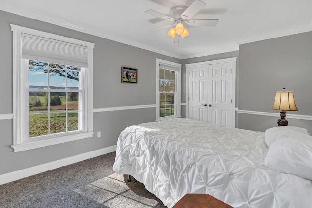 bedroom with carpet flooring, ceiling fan, a closet, and crown molding