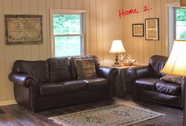 living room featuring dark hardwood / wood-style flooring