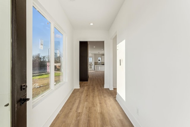 hall featuring light hardwood / wood-style flooring