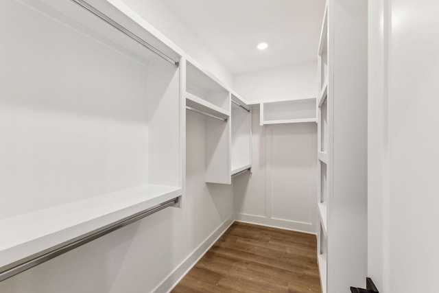 spacious closet featuring dark wood-type flooring