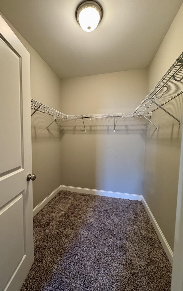 spacious closet with carpet